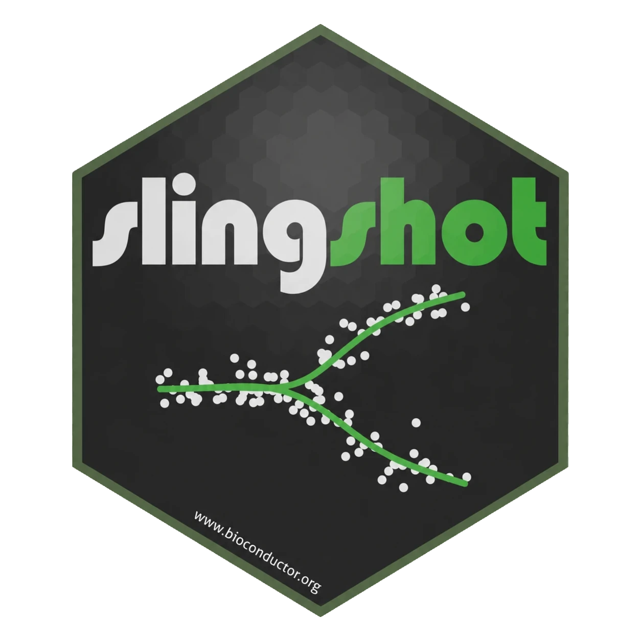 slingshot package sticker